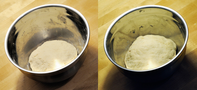 The firm starter before (left) and after (right) fermentation.