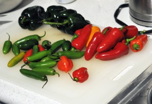 My chili paste consists of a blend of jalepenos, serranos, poblanos, and habaneros. Striking the right blend is key to obtaining your preferred heat level.