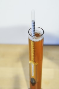 SN Pale Ale