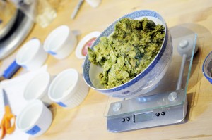 This SMaSH beer featured insane amounts of whole-lead Citra hops.