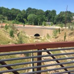 Restored Creek at New Belgium Brewery