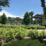 Photovoltaics at Sierra Nevada Brewery