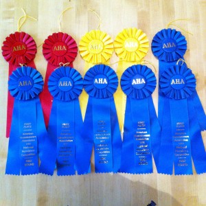 2012 NHC Ribbons